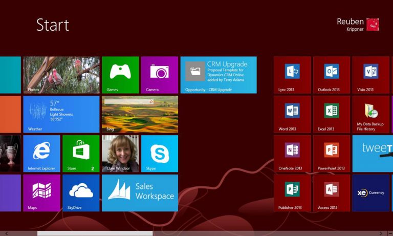 Microsoft Dynamics CRM Windows 8 Mobile Experience – sales record view