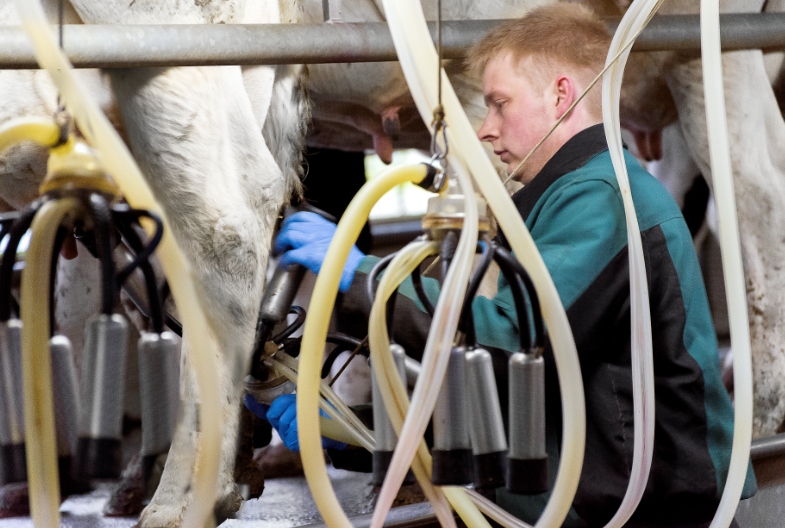 Steffen Hake works on his parents’ co-op farm in Wagenfeld-Ströhen, Germany.