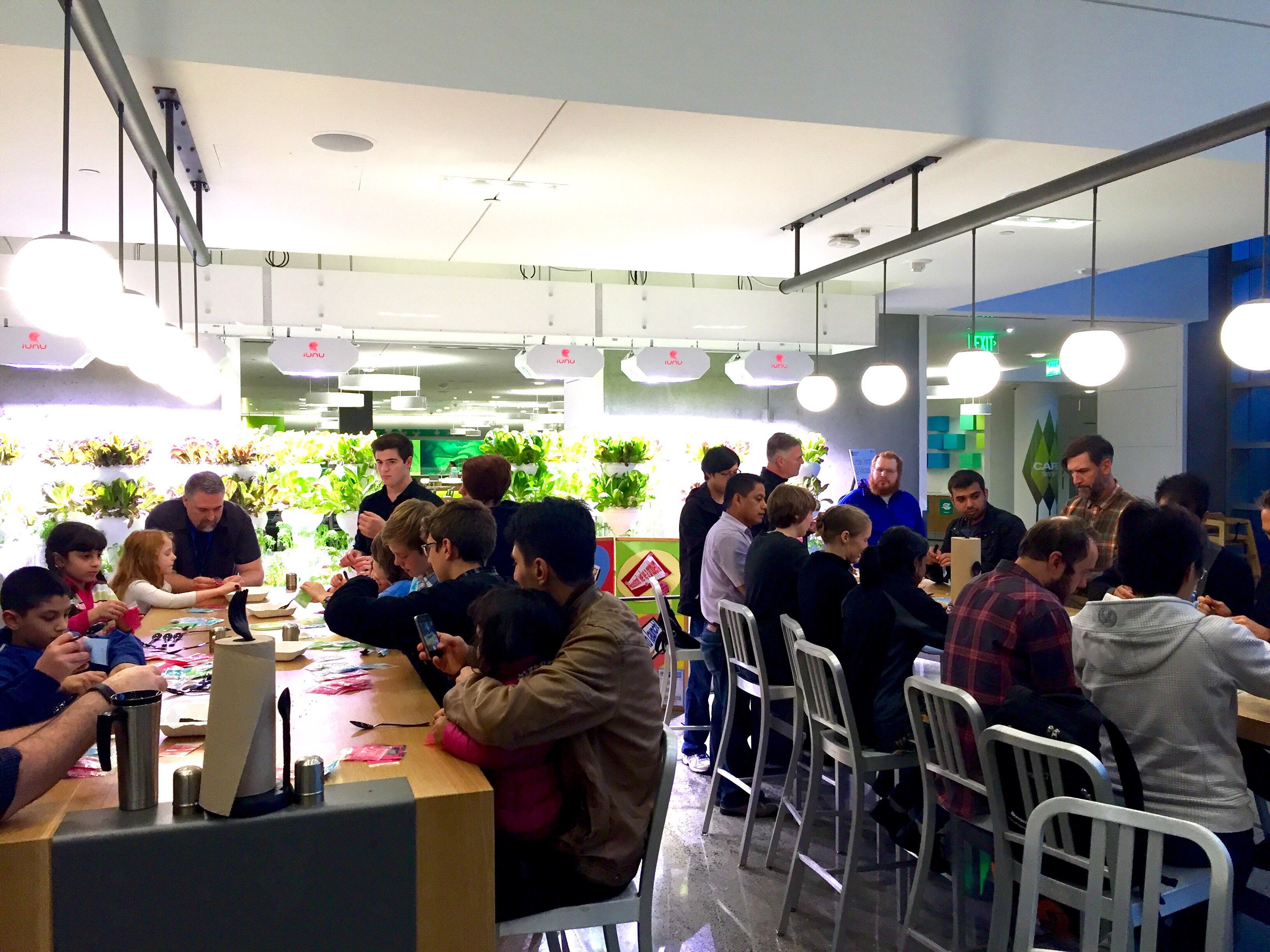 Microsoft employees, their families and students from the Bellevue School District in Washington build kale kits to help students learn about sustainable farming and more. 