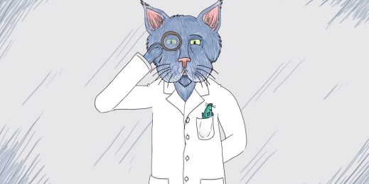 Schrödinger’s Cat speaks