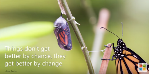 butterfly and chrysalis