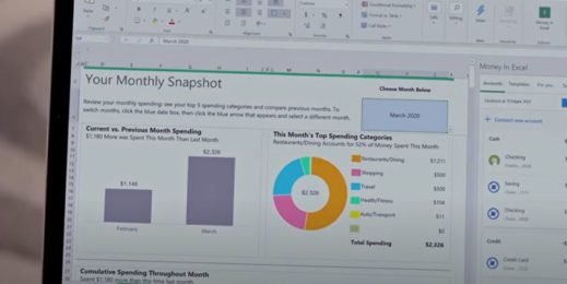 Monthly snapshot display in Money in Excel