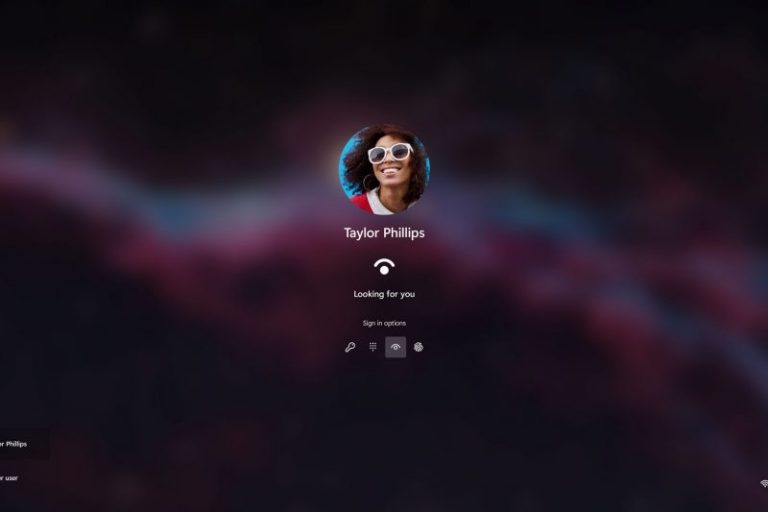 Windows 11 Hello Login Screen
