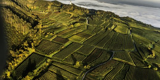 A view of greenery in lower Austria