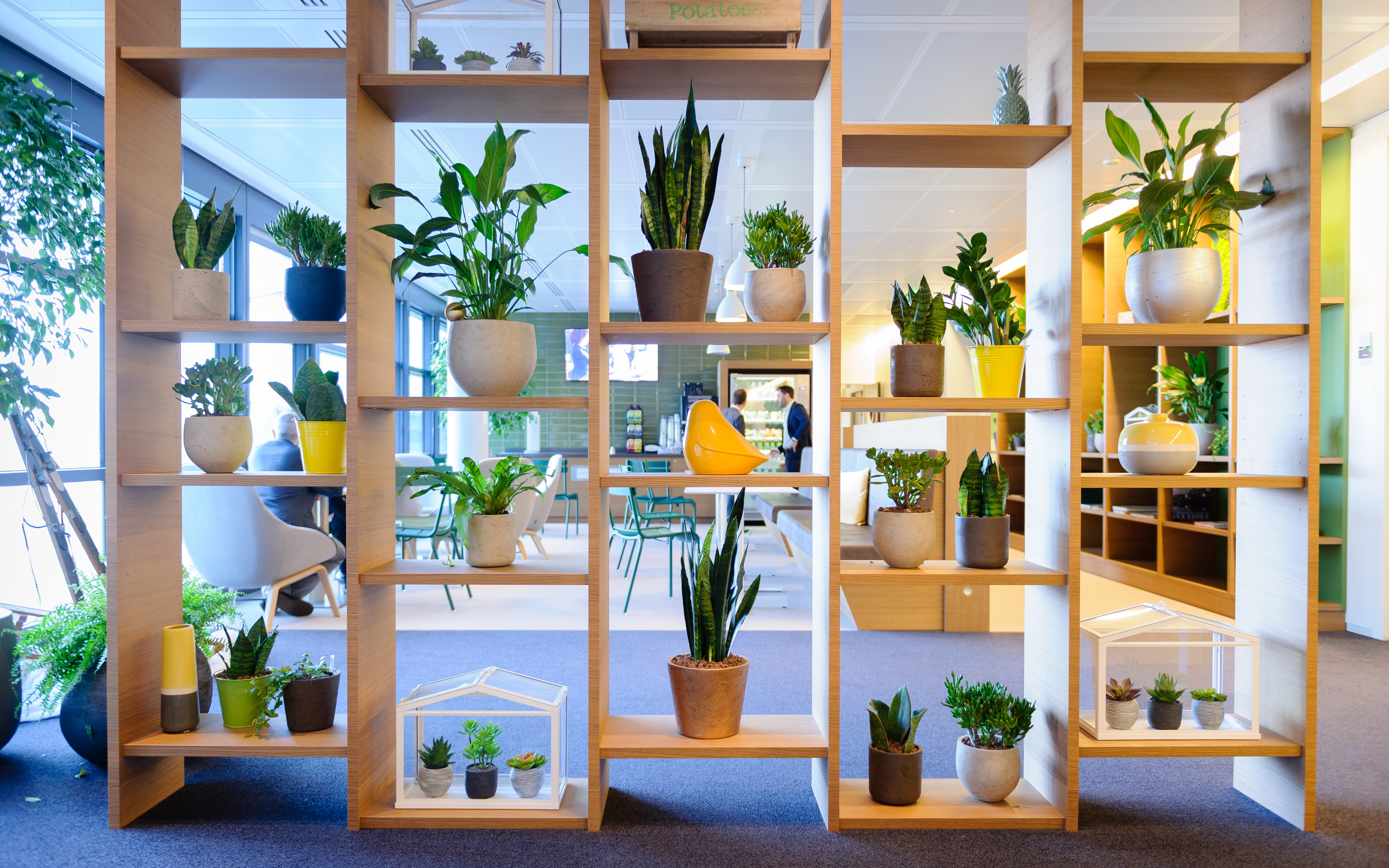 Caféteria "nature" - Une cafète de 100m² à chaque étage