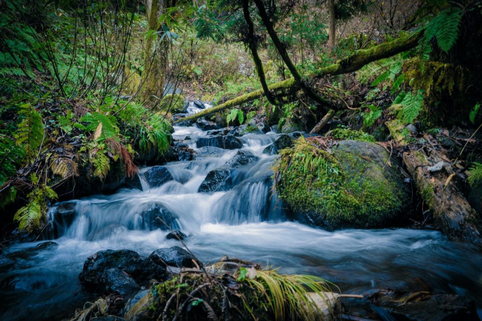 Cascade