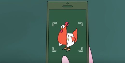 animated chicken in phone