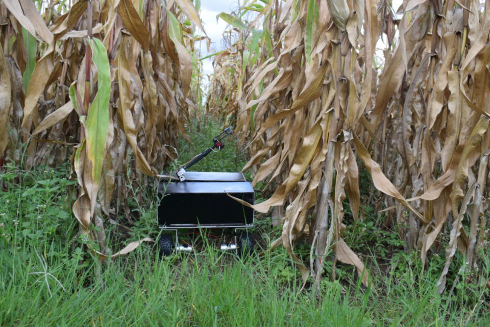 A close up of the Knights’ AI solution, which helps to remove weeds from farming crops.