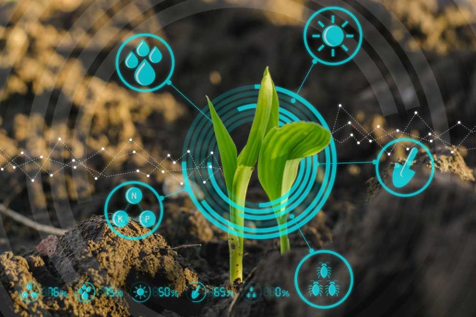 Technology solutions are a great way to analyse farming needs in rural areas as well.