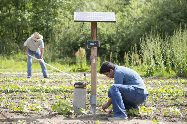 IoT devices capturing data to help optimise farming efforts.