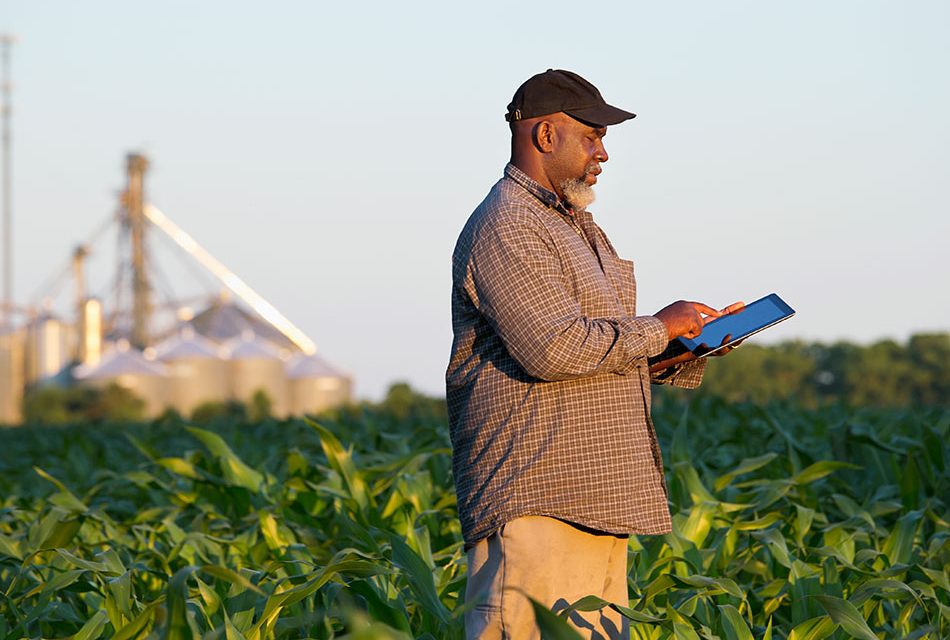 Farmer with digital tablet in crop field