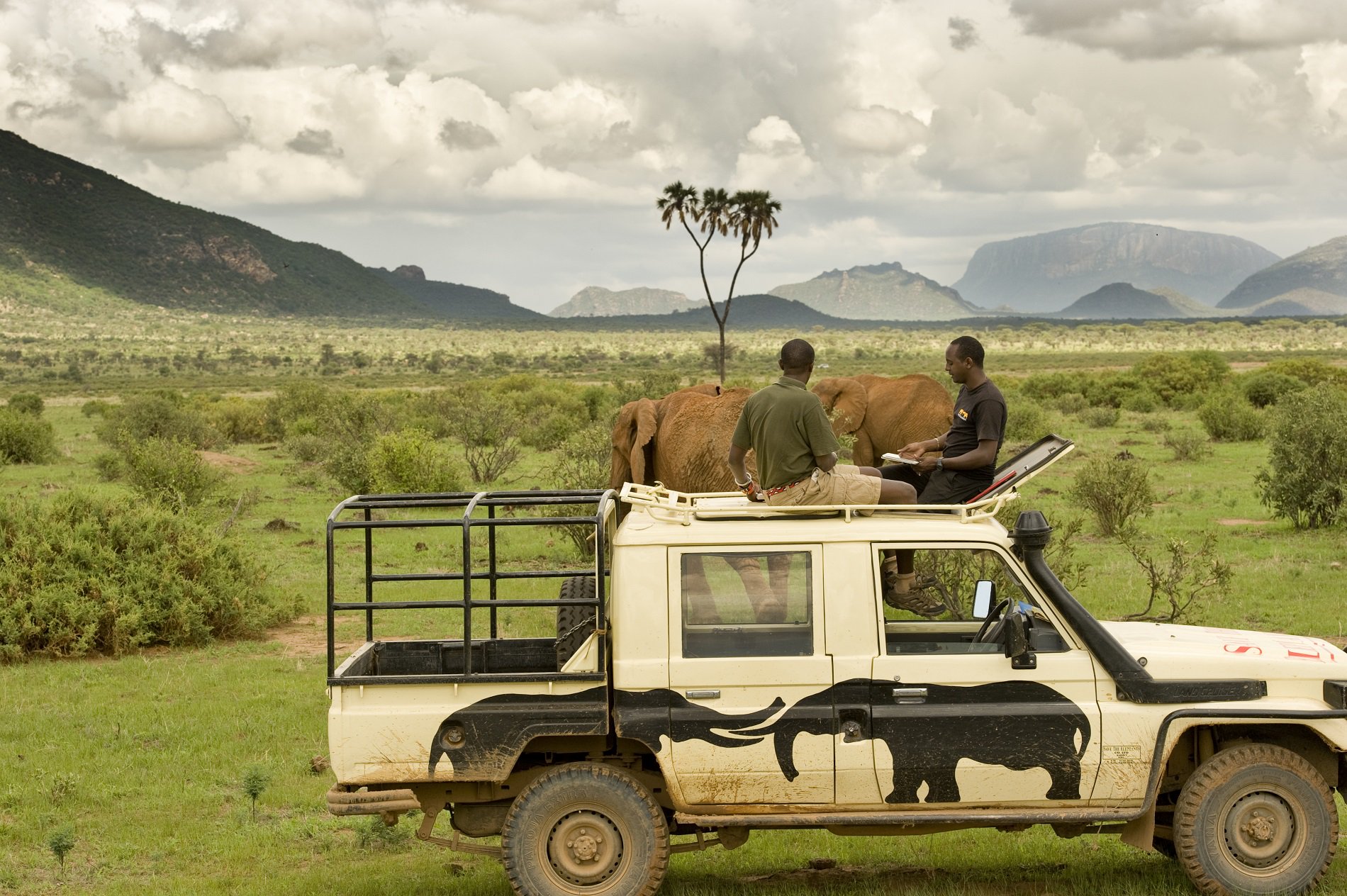 Photo of two men sitting on top of a truck with elephants painted on the side looking at a computer tablet with elephants in the background