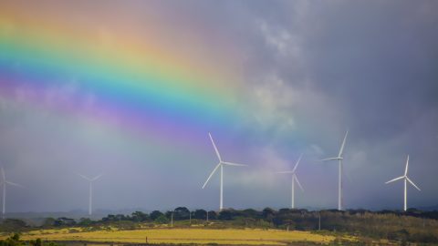 Wind and sun are fickle, so Steffes plugs into technology to store renewable energy