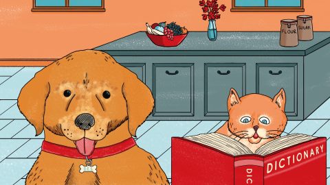 The ‘Explanimators’ show you everything you need to know about machine reading