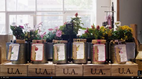 flowers and plants in containers