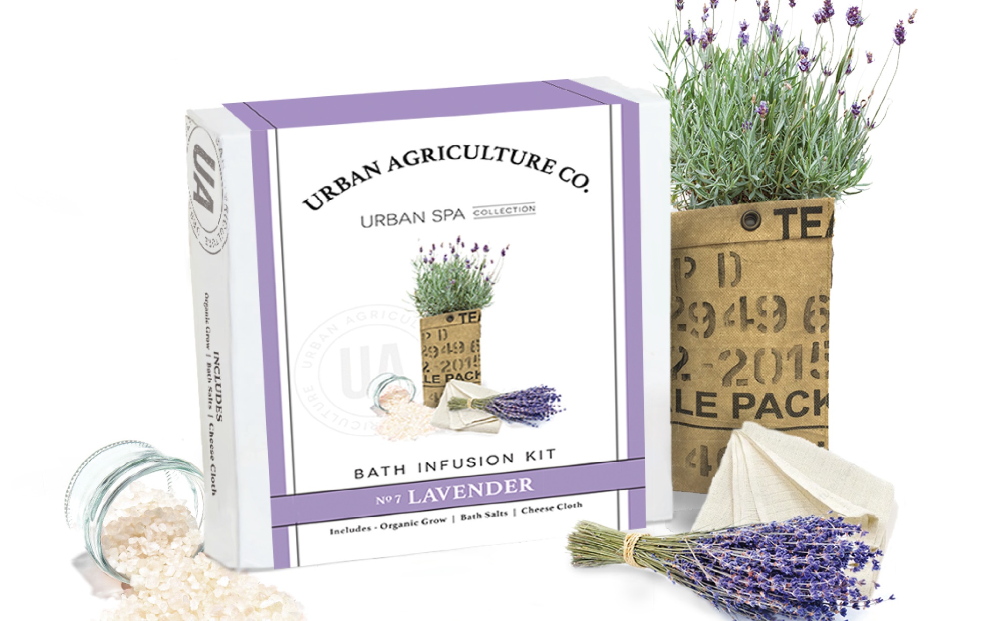 Photo of box and lavender plant in a container
