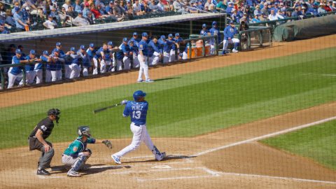 A whole new ballgame: Surface tablets score a big hit with the Kansas City Royals