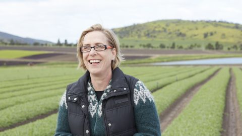 The Yield: How to feed the world without ‘wrecking the planet’