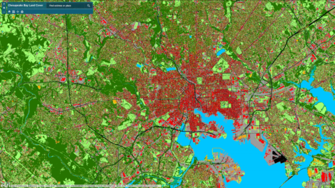 A land cover map.