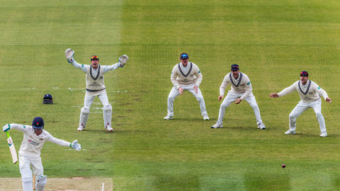 Male cricket players in white uniforms play on green field