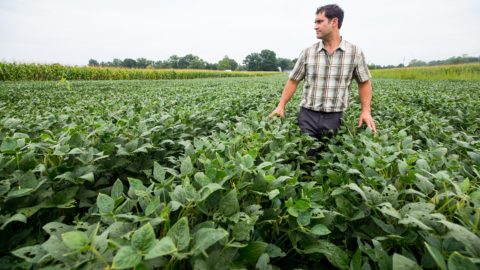 Steven Mirsky, a research ecologist in the USDA’s Sustainable Agricultural Systems Laboratory in Beltsville, Maryland.