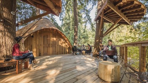 Employees with computers and notebooks sitting on chairs and benches on a wooden deck surrounded by trees