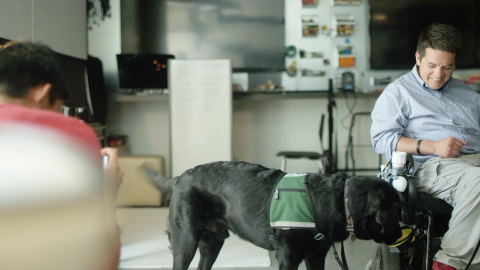 Don’t let the dogs, or the people who rely on them, down