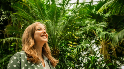 a woman looks up at a blue sky with green palm trees in the background