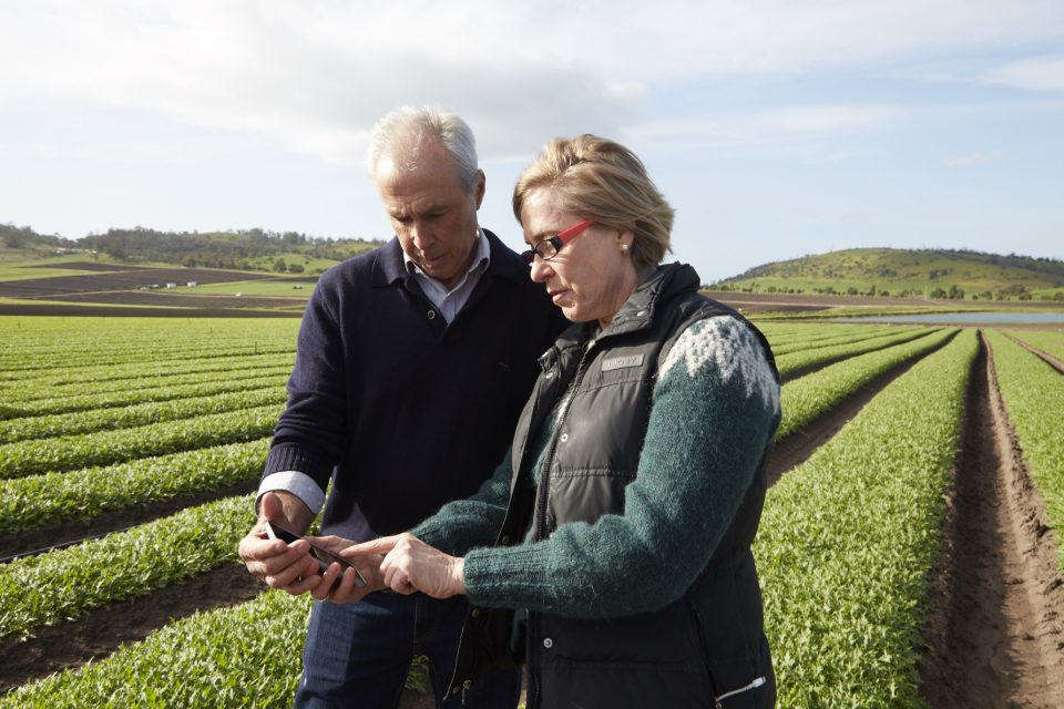Anthony Houston, Betriebsleiter von „Houston’s Farm“ in Tasmanien, schaut sich gemeinsam mit Ros Harvey eine App von The Yield an. (Foto von Chris Mollison)