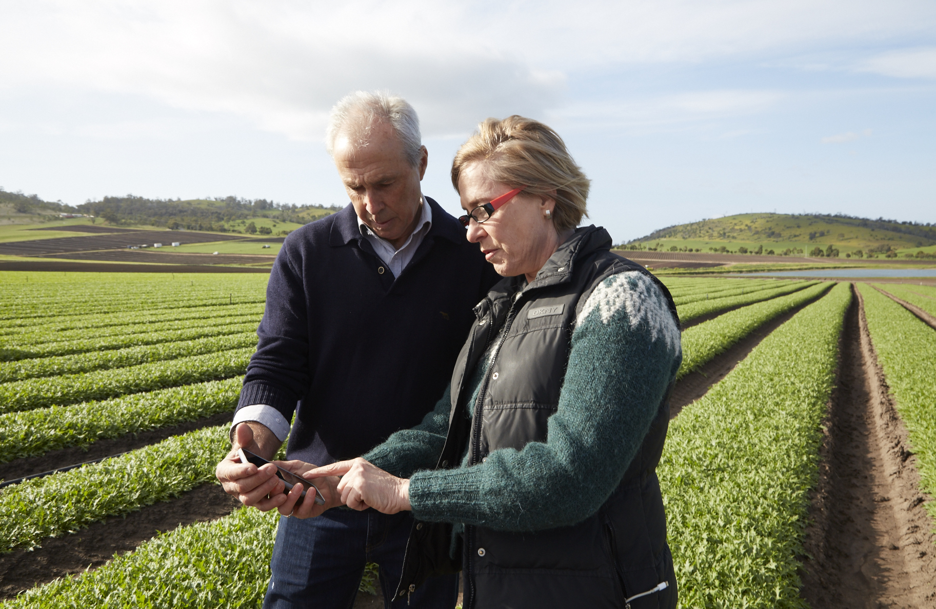 Anthony Houston, Service Officer auf der Houston's Farm in Tasmanien, betrachtet eine App von The Yield mit Ros Harvey.