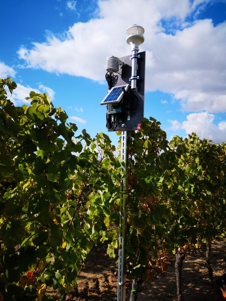 #DPK18 Weinberg: Blattschutz mit KI; Sensor im Weinberg