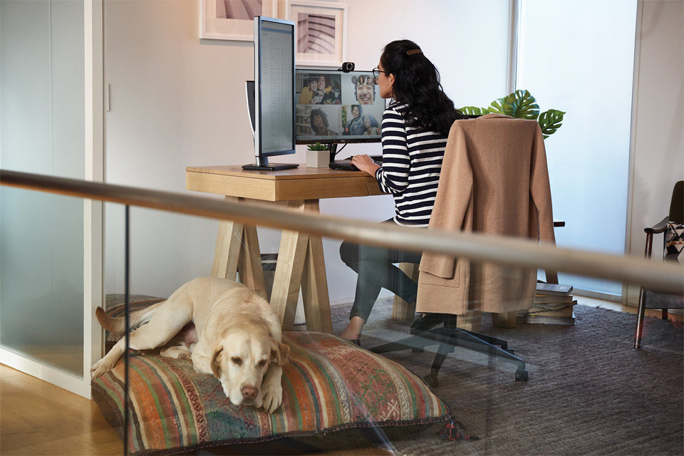 Frau sitzt am Schreibtisch und skyped. Ein und liegt neben ihr.