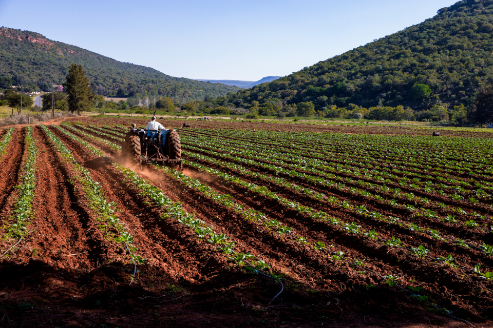 Farming