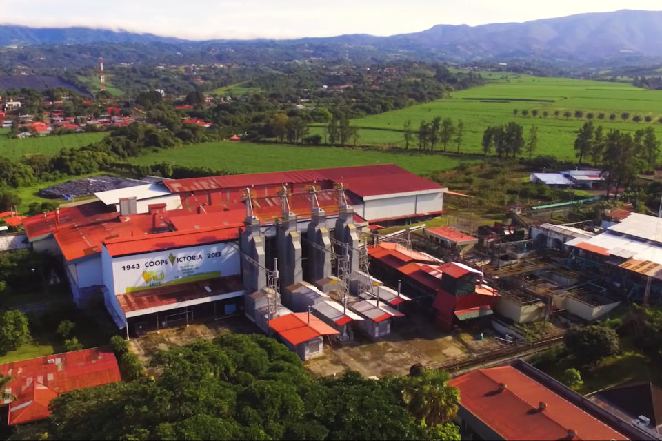 Fotografía aérea de instalaciones cafeteras