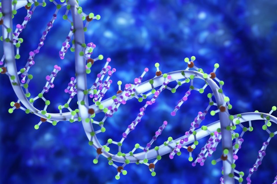 Fita de DNA