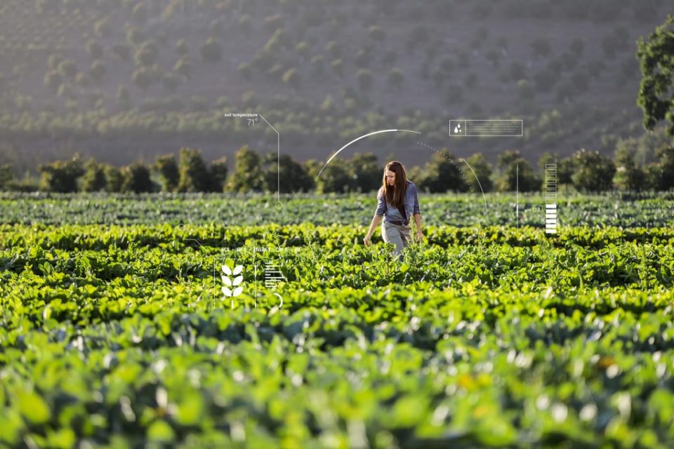 Moça numa plantação.