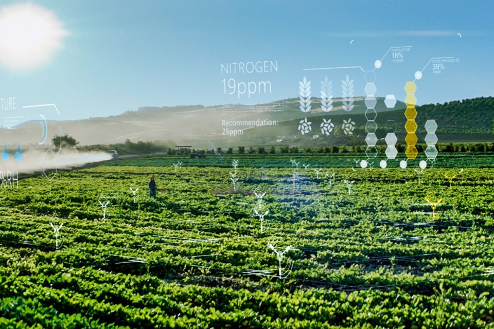 Plantação com conexões de IoT.