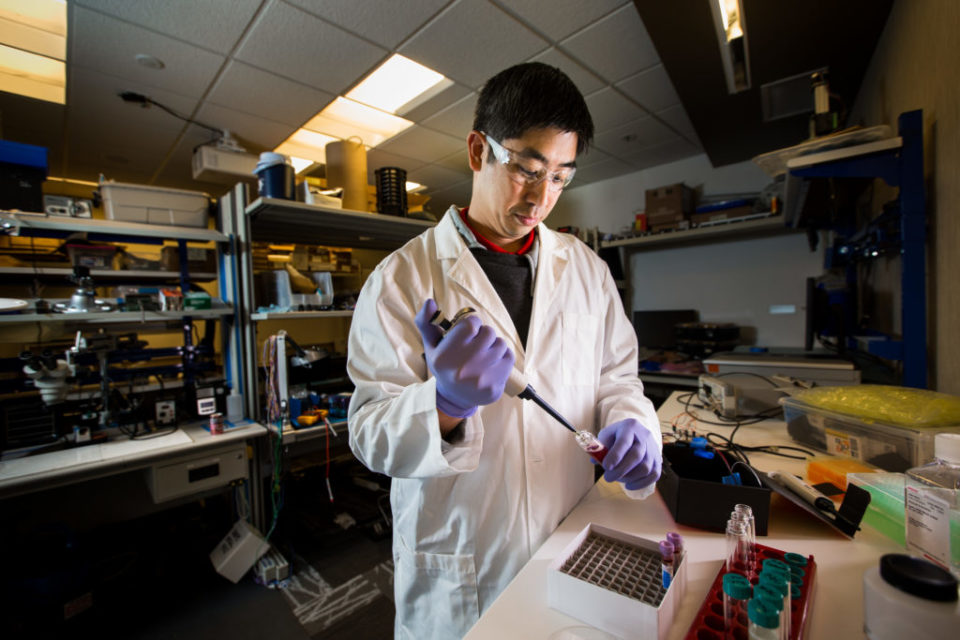 Desney Tan, gerente-geral de Assistência à Saude da Microsoft, no campus da companhia em Redmond