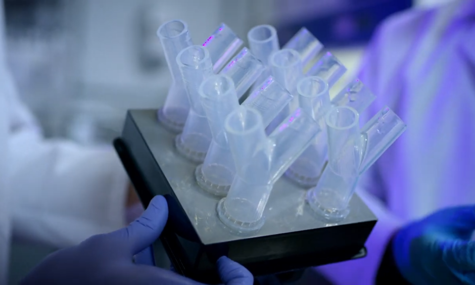 cientistas com experimento