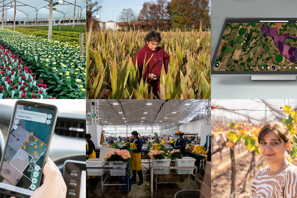 Empresas nativas digitais promovem uma agricultura baseada em Dados e Inteligência Artificial na América Latina