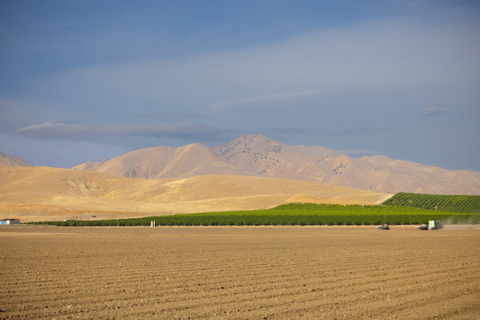 Ourofino Agrociência implementa sistema de processamento de dados com auxílio da nuvem