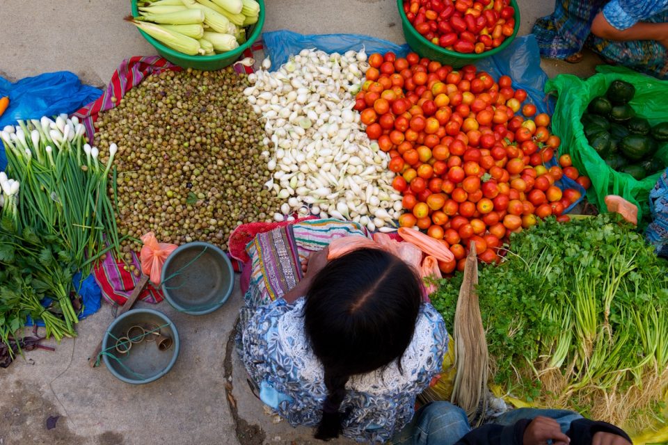 Mulheres na colheita de legumes