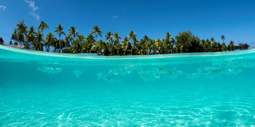 A tropical island and sea with fish.