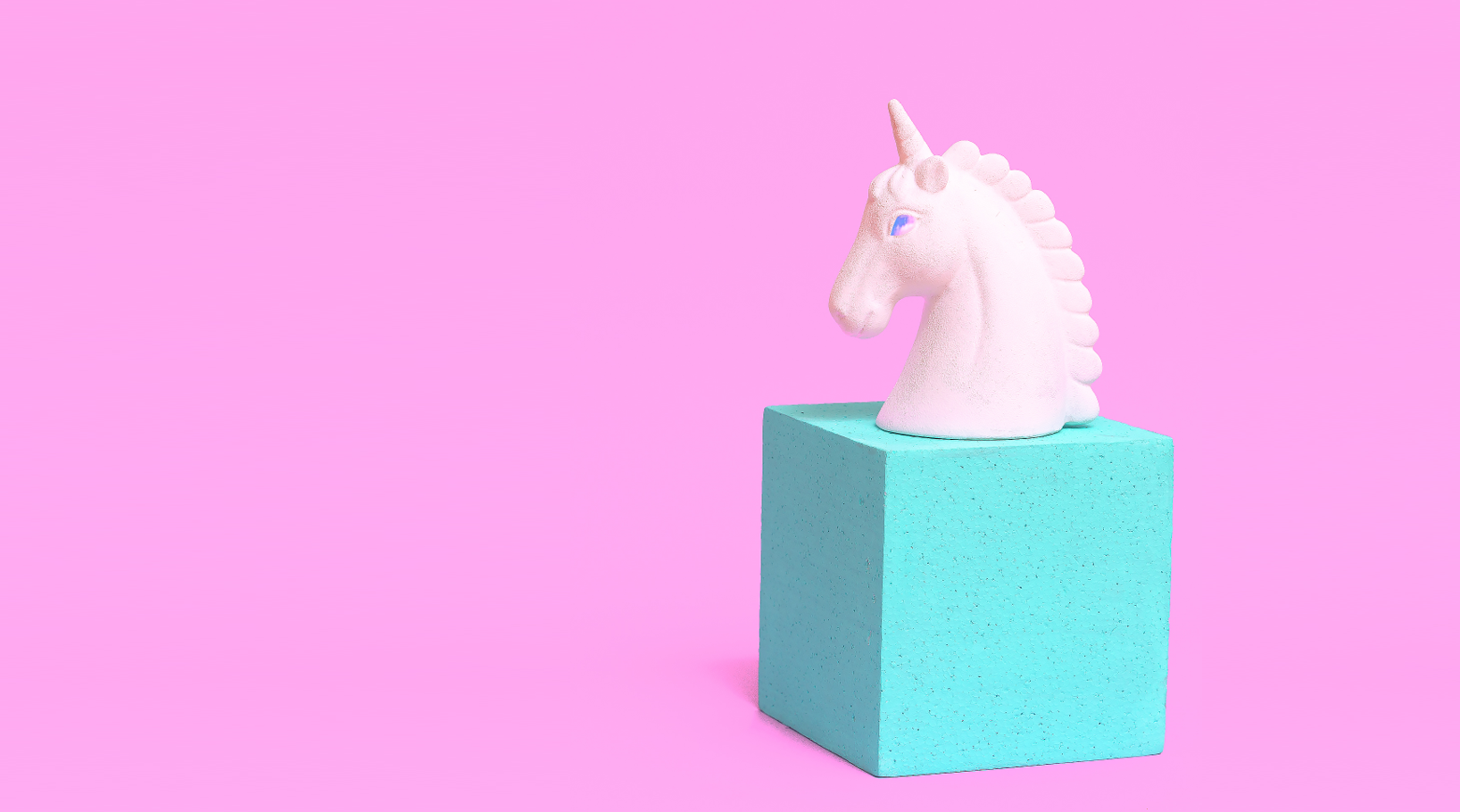 Pink Unicorn