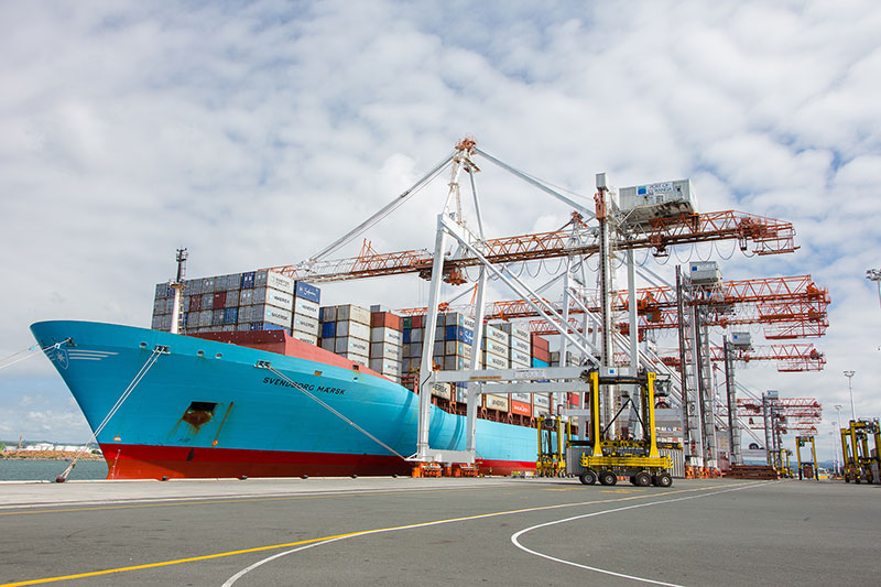Kotahi Shipping