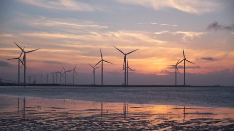 wind mills