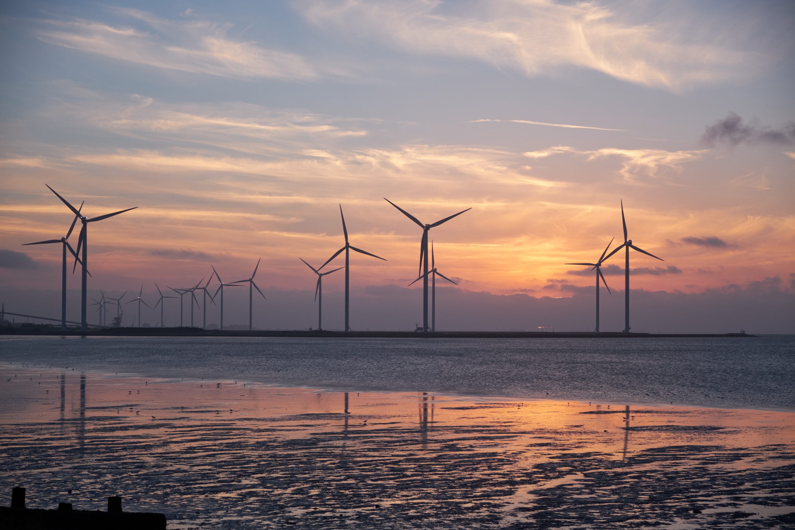 wind mills