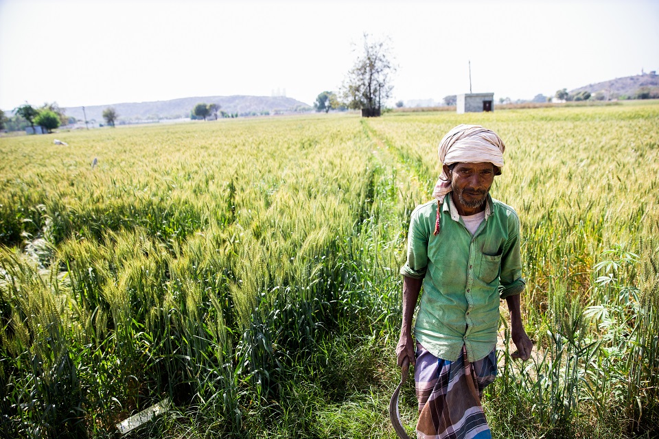 photograph of a farmer in a field