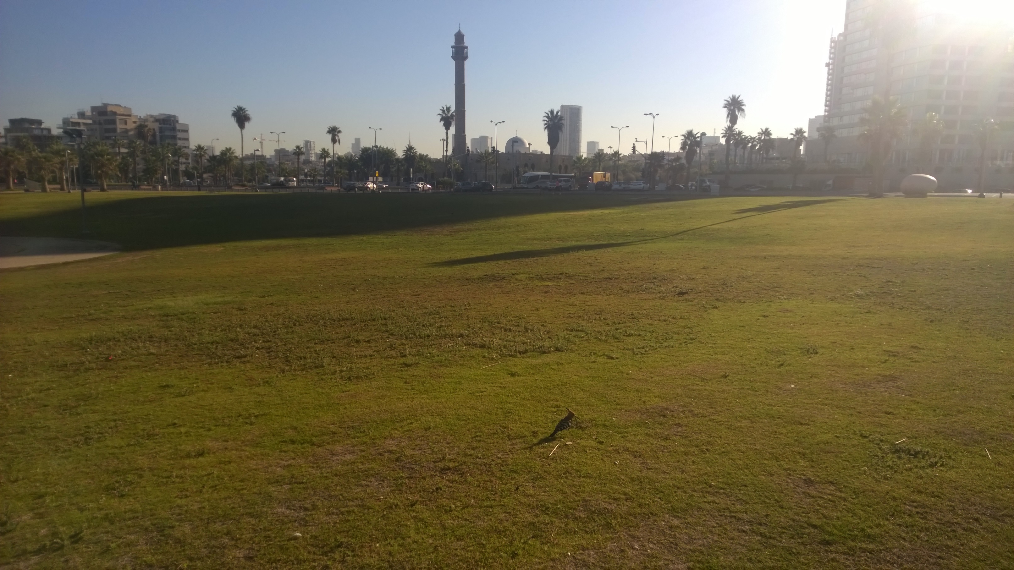 WP_20141022_08_38_20_Pro__highres