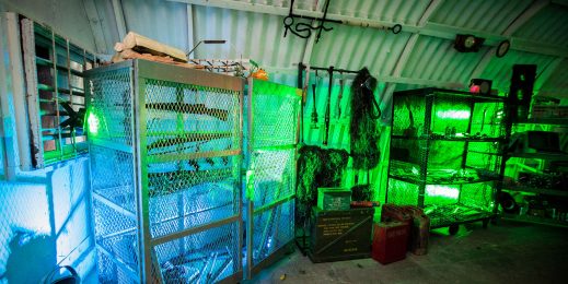 Фанаты игры State of Decay 2 смогут спрятаться от зомби в бункере